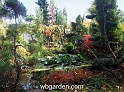 wbgarden autumn 59